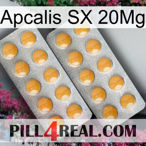 Apcalis SX 20Mg levitra2.jpg